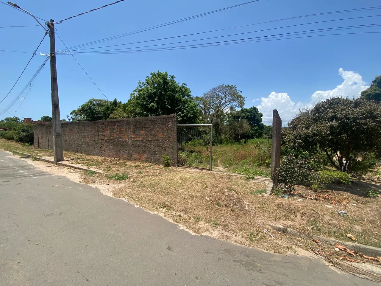 Lote 20x200 Cumbique  - Foto 2