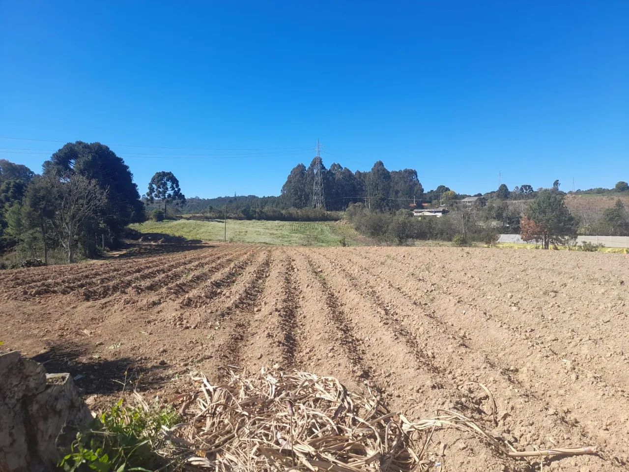 Sítio/ Chácara em Mandirituba  - Foto 4