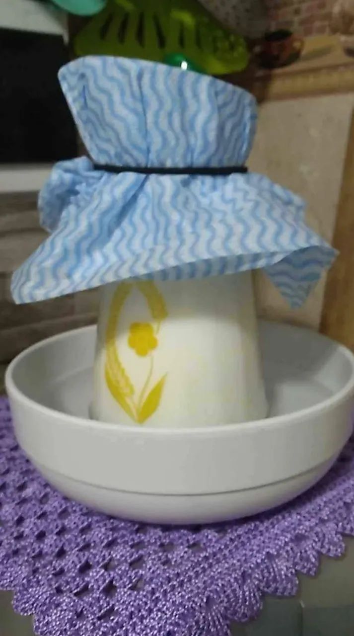 Kefir: O Probiótico Milagroso - Foto 2