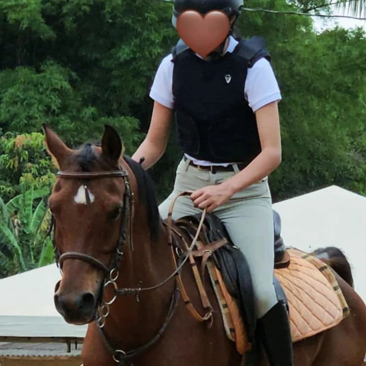 colete de hipismo