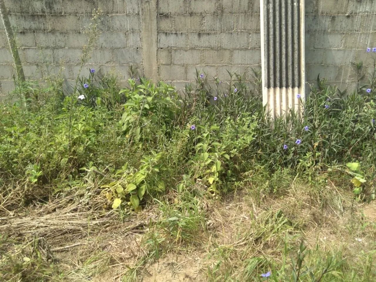 Lote em Itaoca espírito santo  - Foto 2