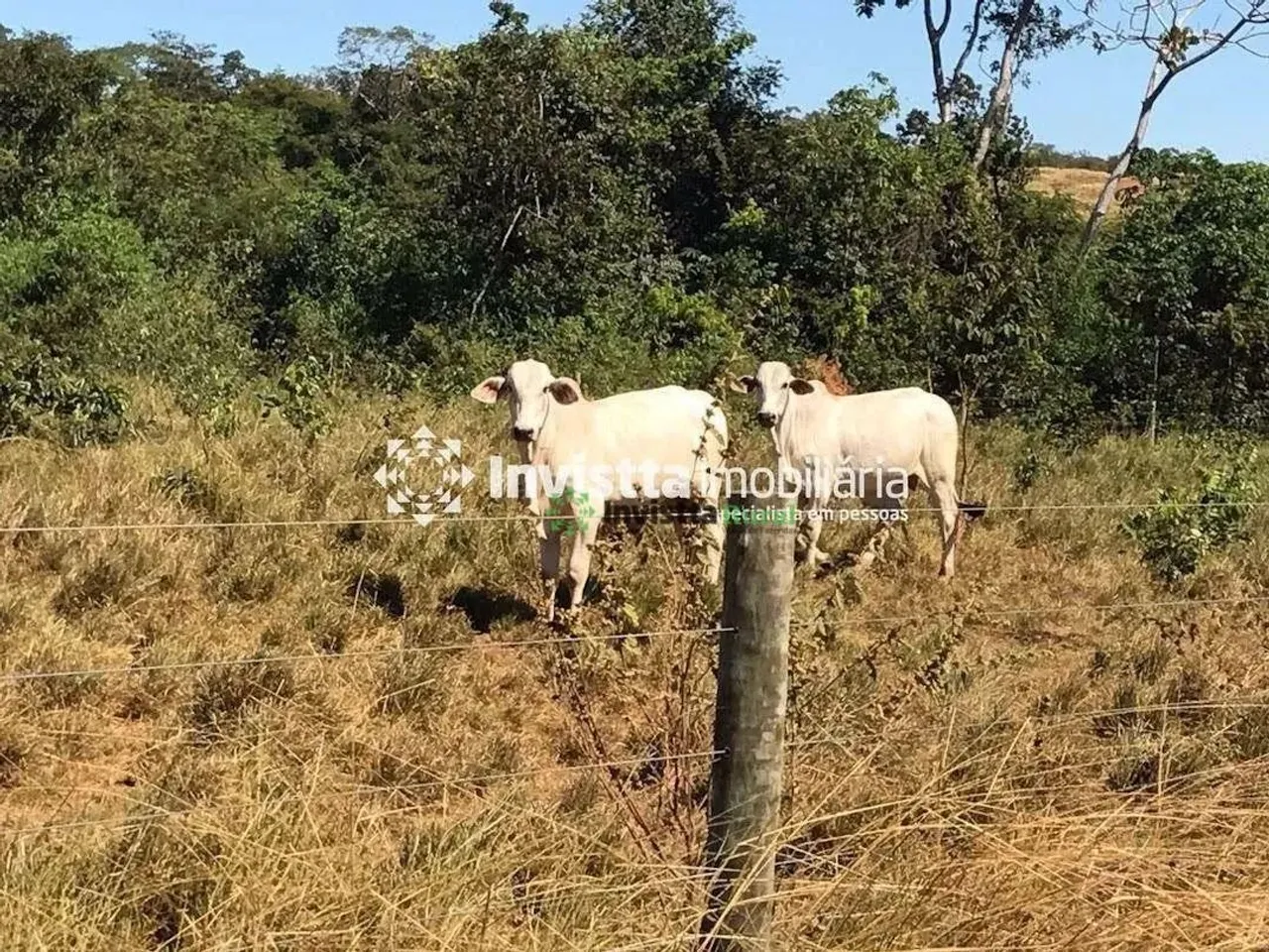 Fazenda Rural à venda, Plano Diretor Norte, Palmas - FA0509.
