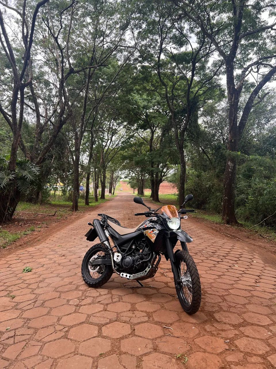 YAMAHA XT660R 2005 - Foto 3