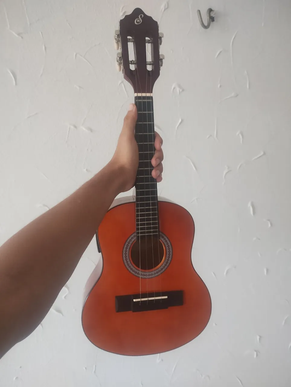 Cavaquinho giannini elétrico start cs-14