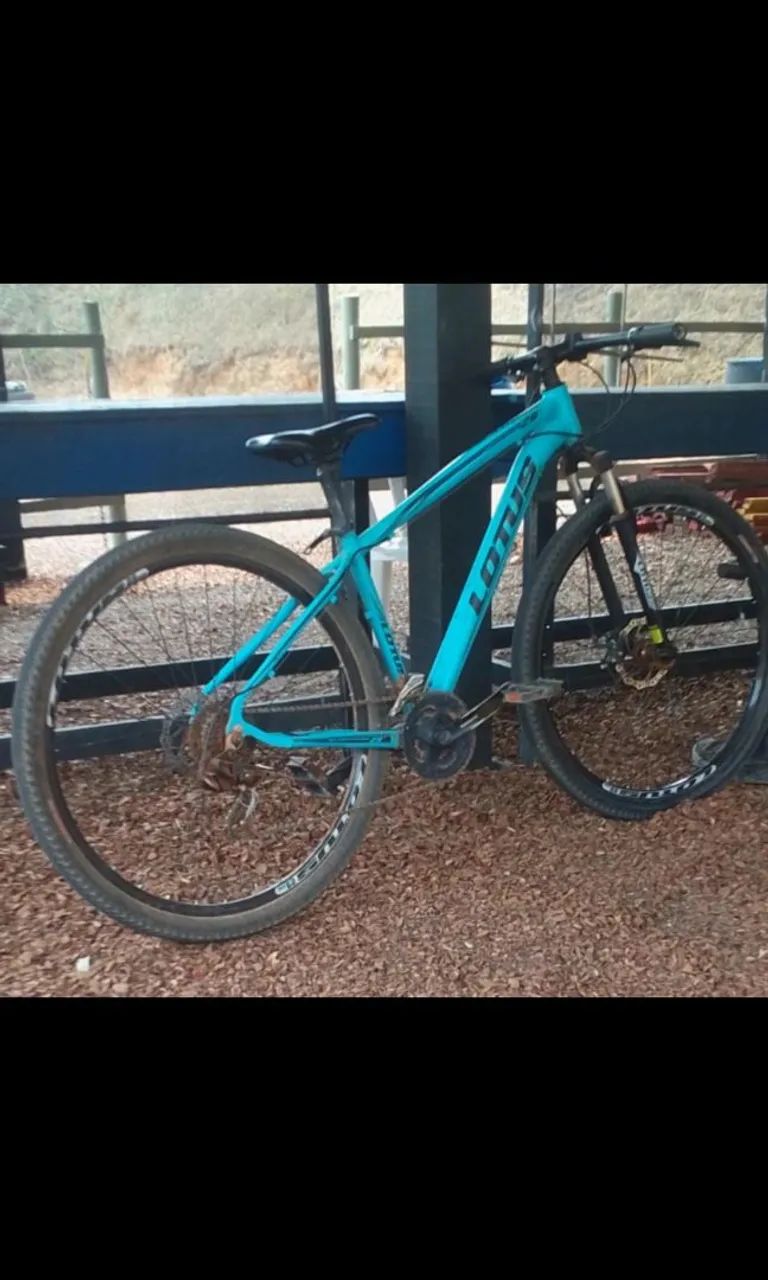 Bicicleta Lotus