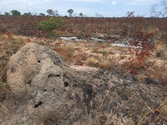 Fazenda em São Bernardo do Maranhão - Foto 4