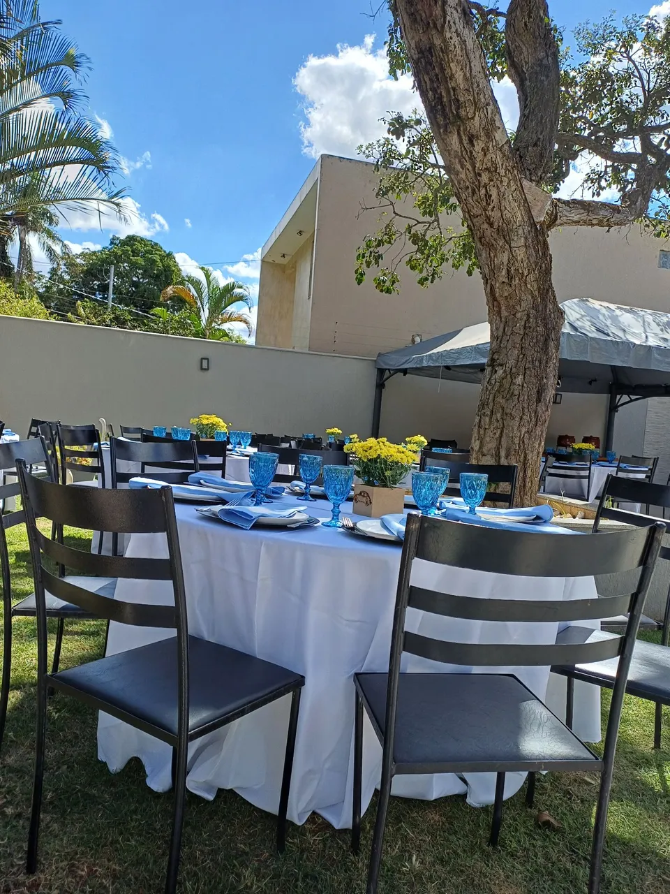 Espaço para festa Verde de Perto