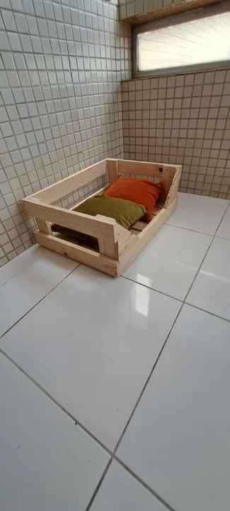 Caminha Pet em Pinus - Foto 4