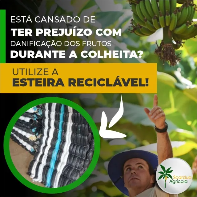 Esteiras de Proteção - Colheita de Banana