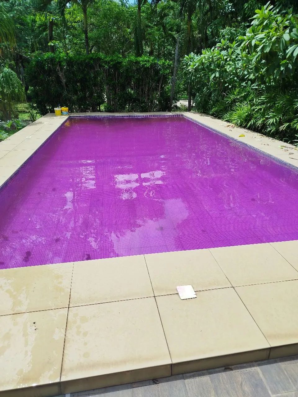 Limpeza de piscinas  - Foto 4