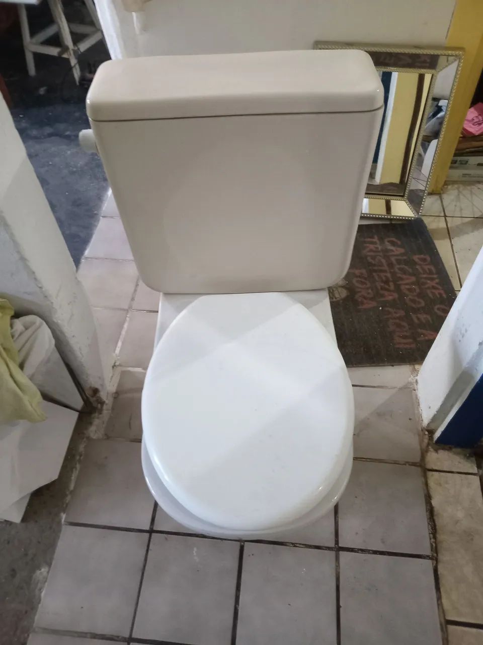 Working hydroponic vase64220047149187120