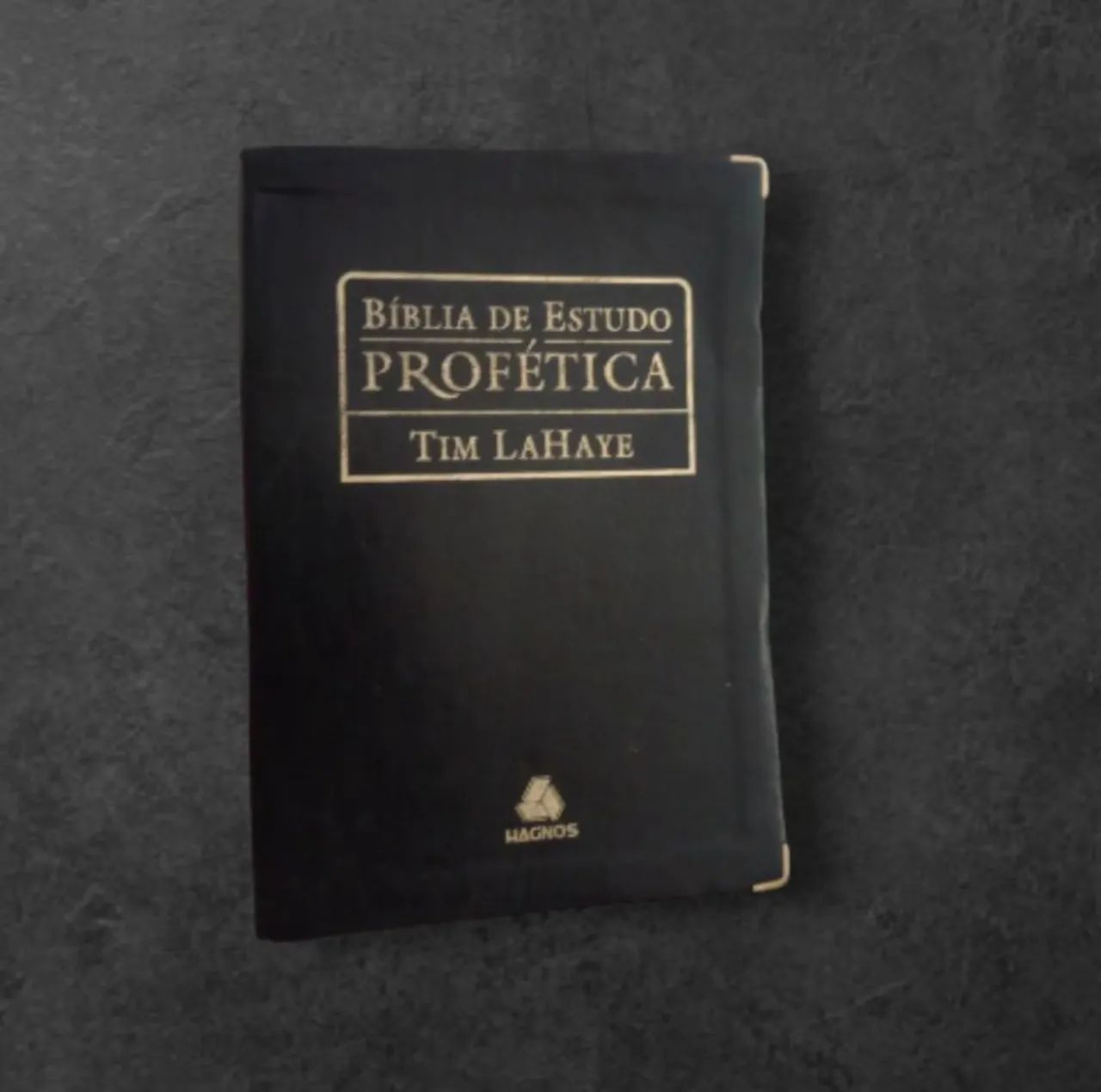 Bíblia de Estudo Profética - Tim LaHaye