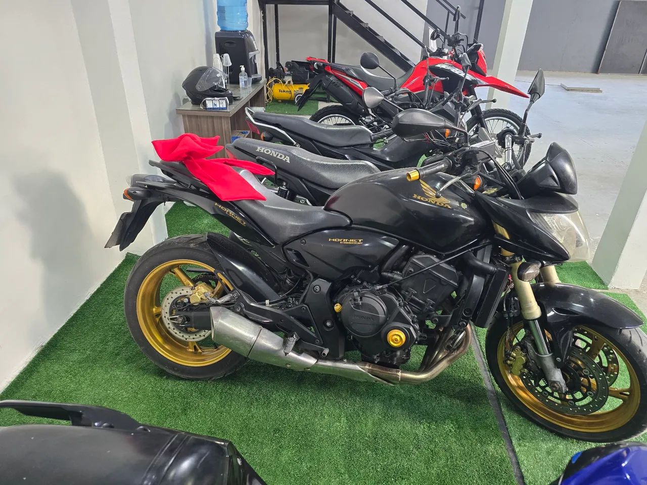 Hornet 600cc