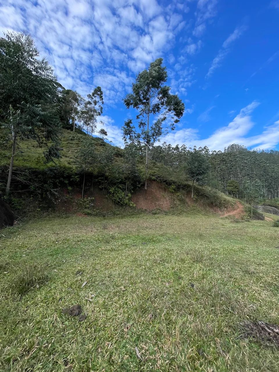 Terreno para venda Major Gercino SC - Foto 5
