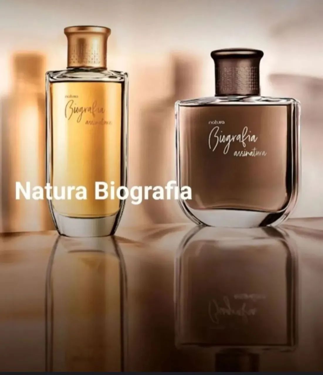 Perfume Biografia Assinatura Feminino 