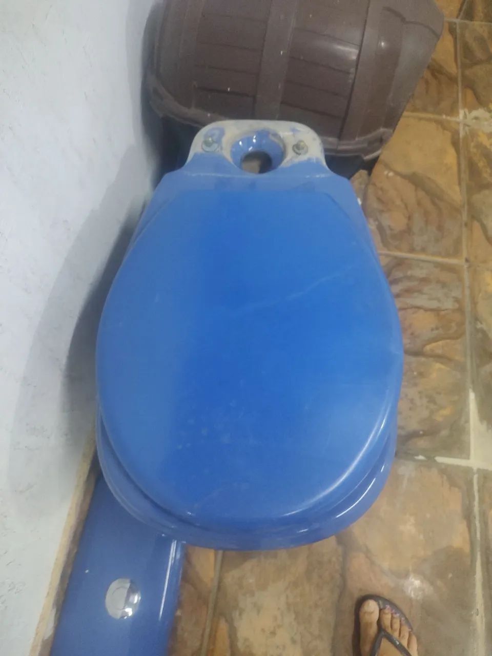 Vaso sanitario 