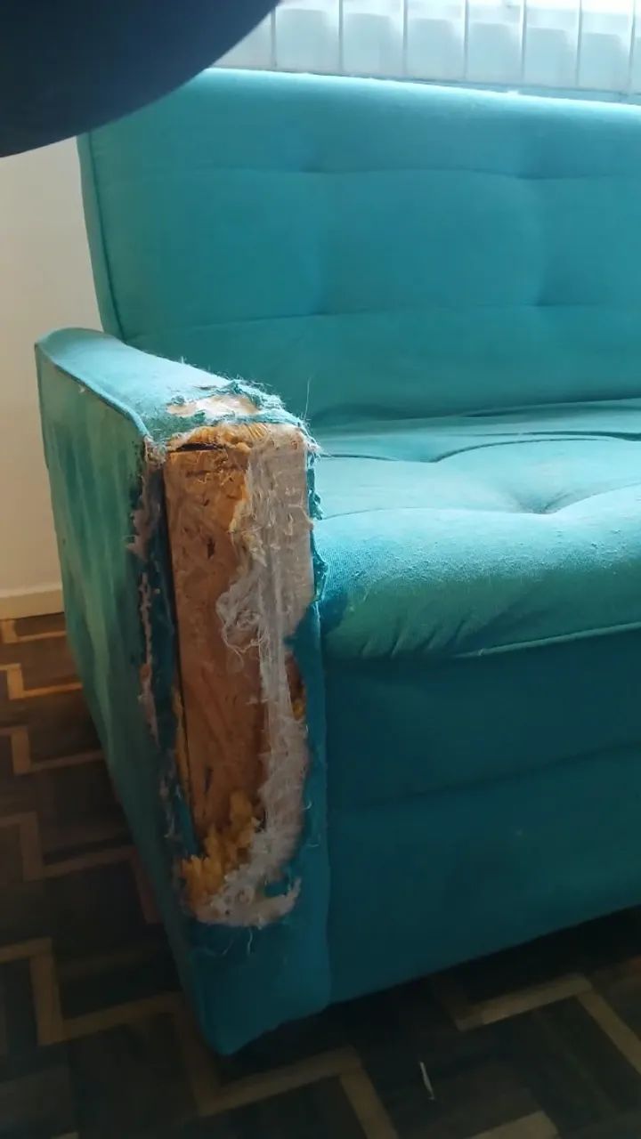 Sofá-cama com estrutura em madeira  - Foto 2