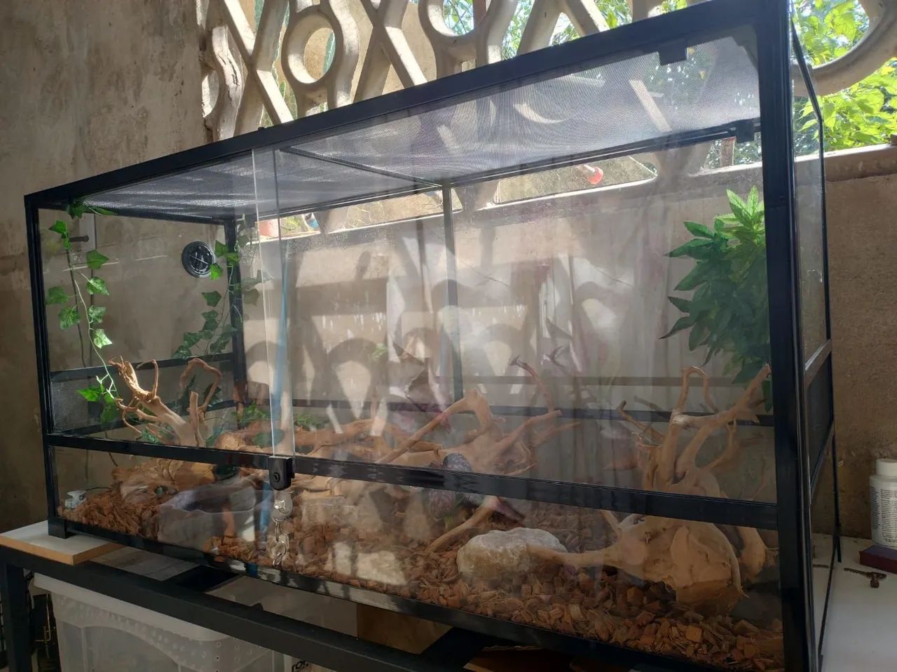 Terrário biosuud de vidro