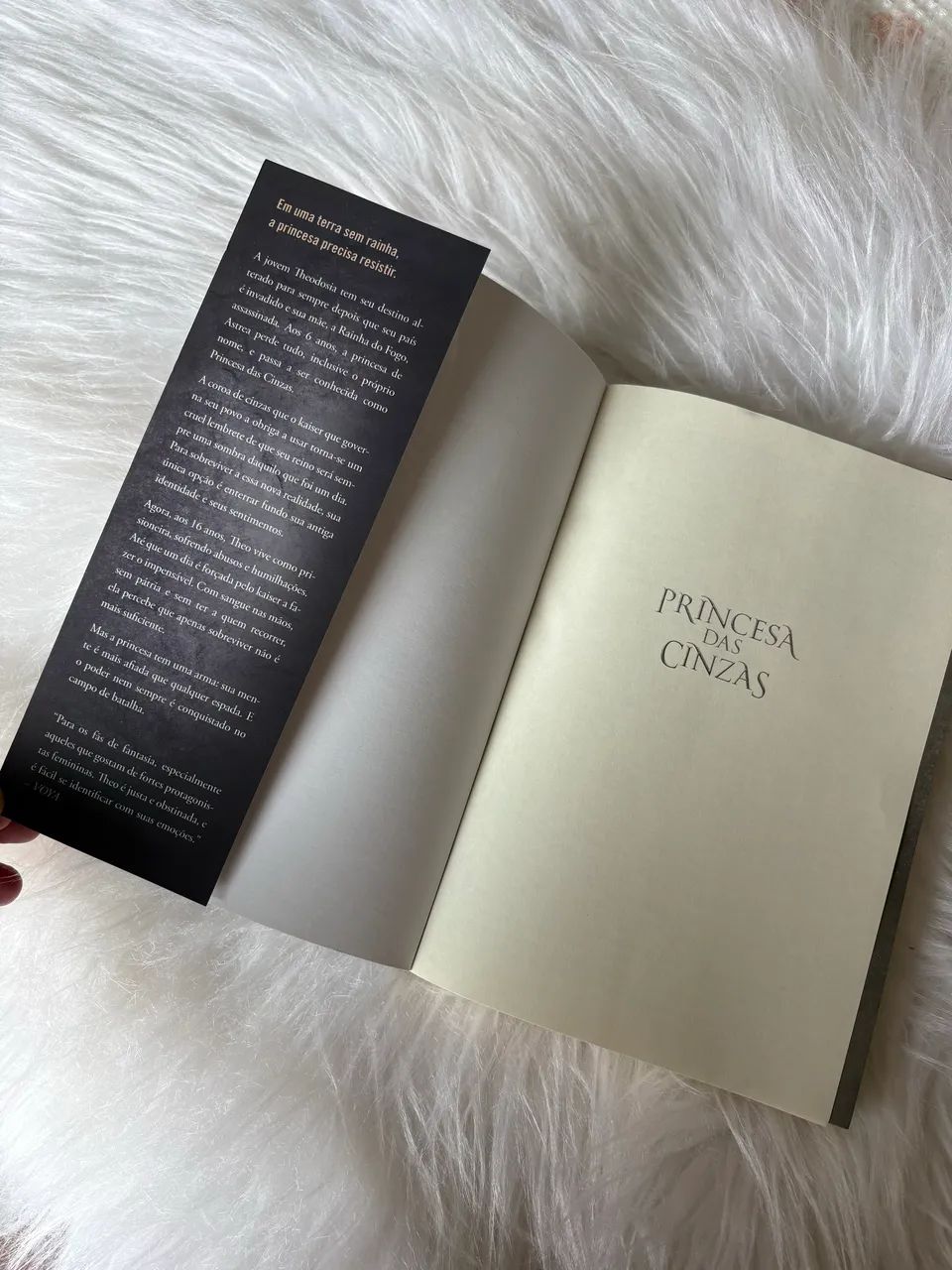 Livro Princesa das cinzas  - Foto 4