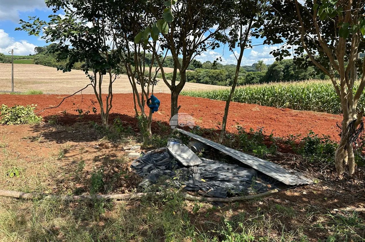Vendas Terreno Pato Branco PR - Foto 5