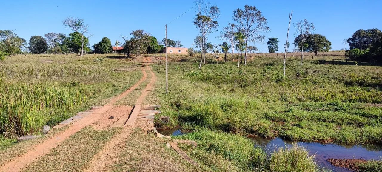 chácara Cacoal linha 10  - Foto 4