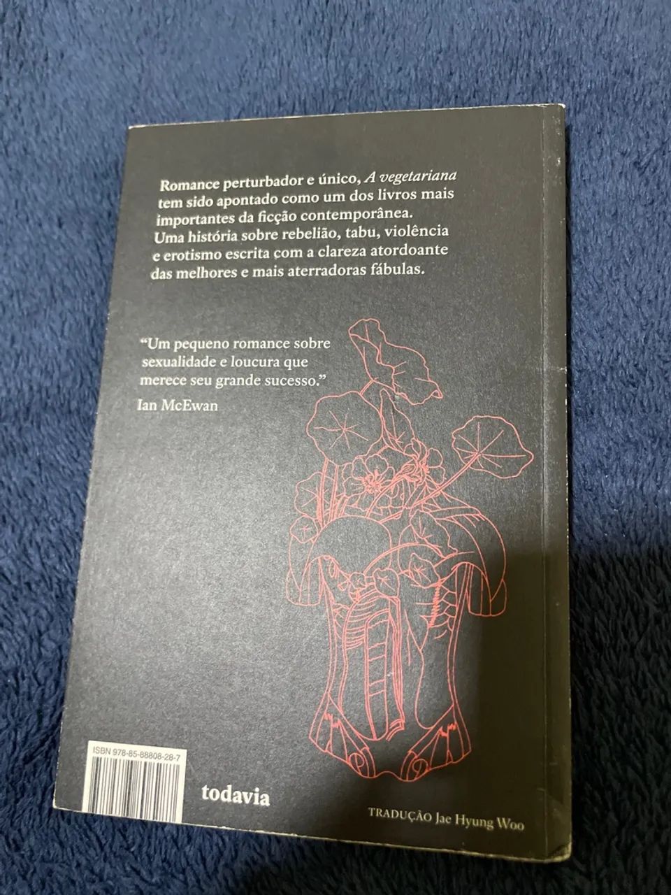 O livro A vegetariana  - Foto 2