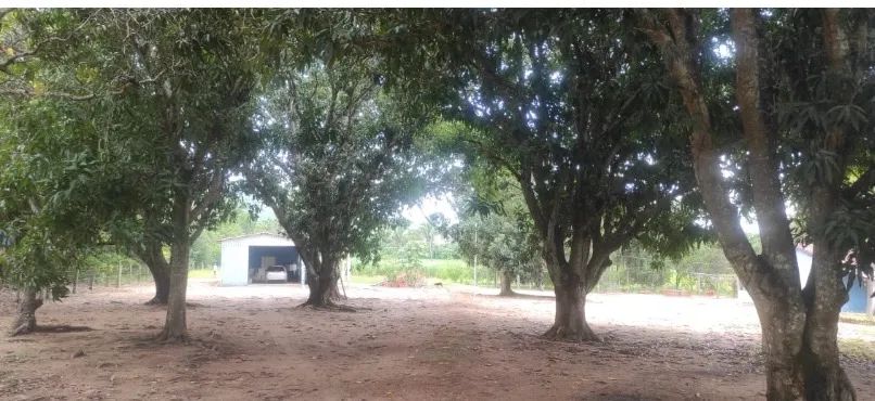 CHÁCARA PORTEIRA FECHADA  - Foto 5