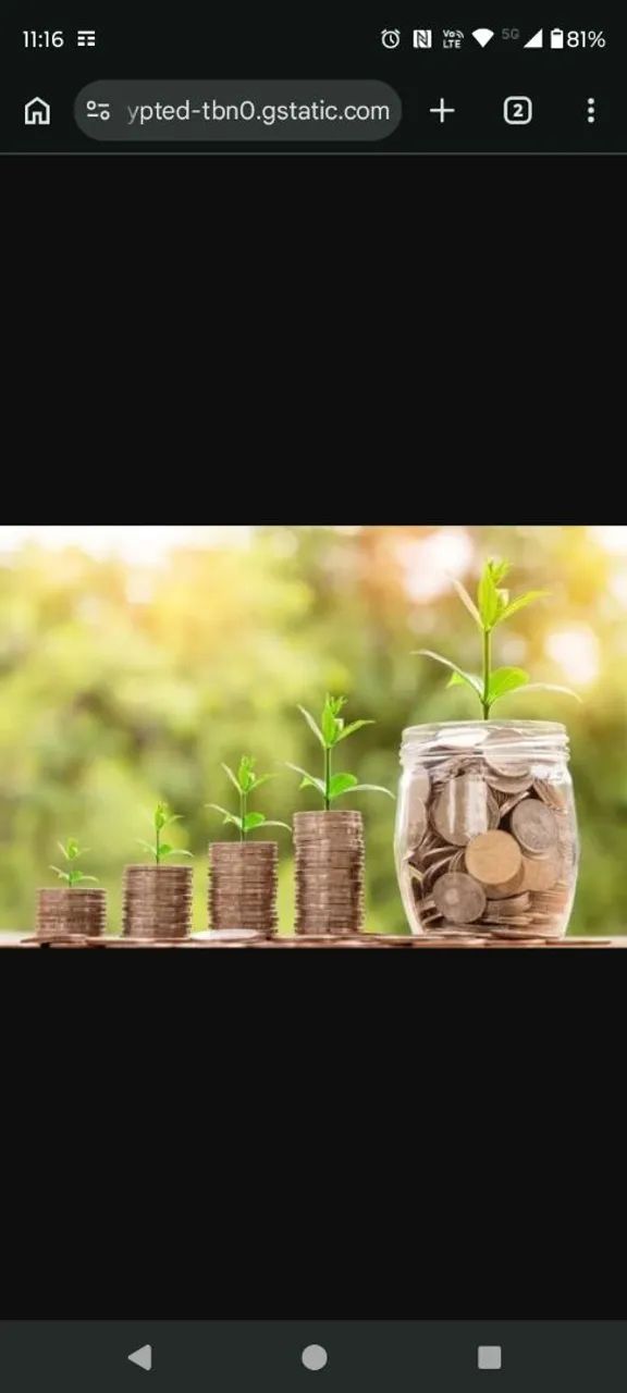 Educação Financeira em 6 meses 