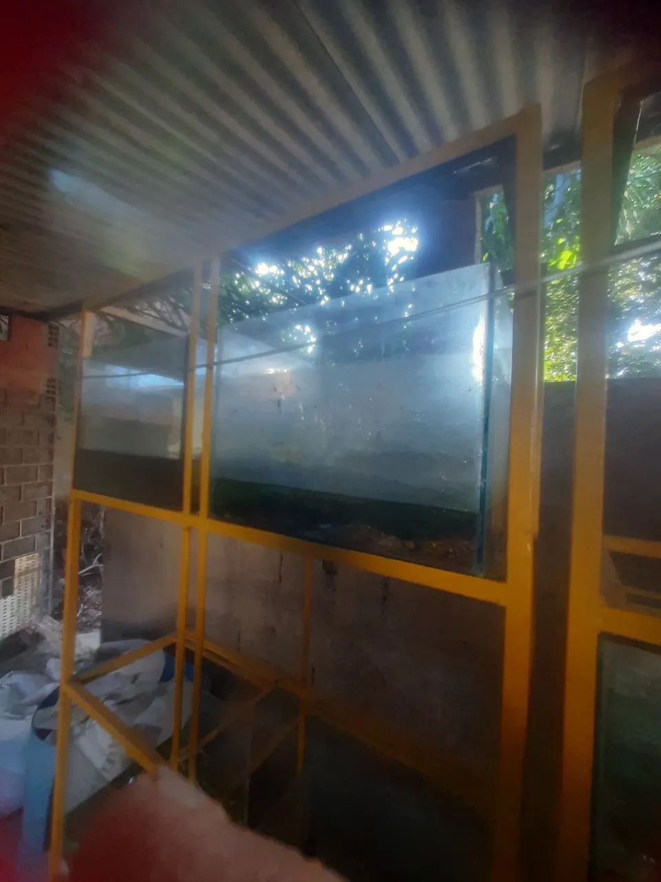 Aquário  - Foto 2