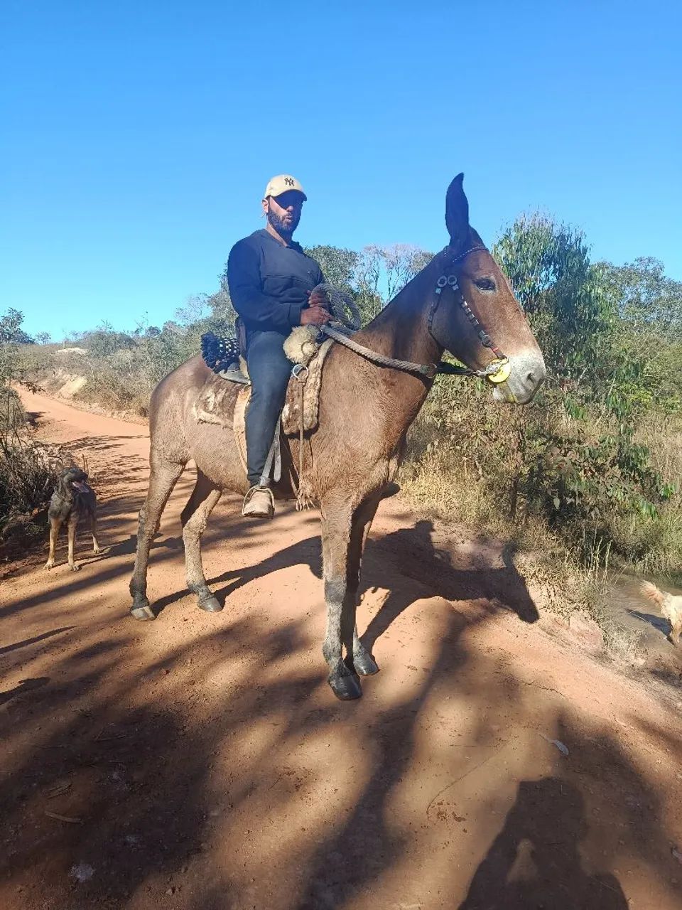 Vende se - Foto 5