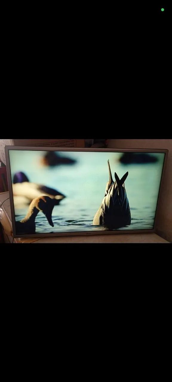 Tv Smart LG 32 Polegadas Top de Verdade  - Foto 3