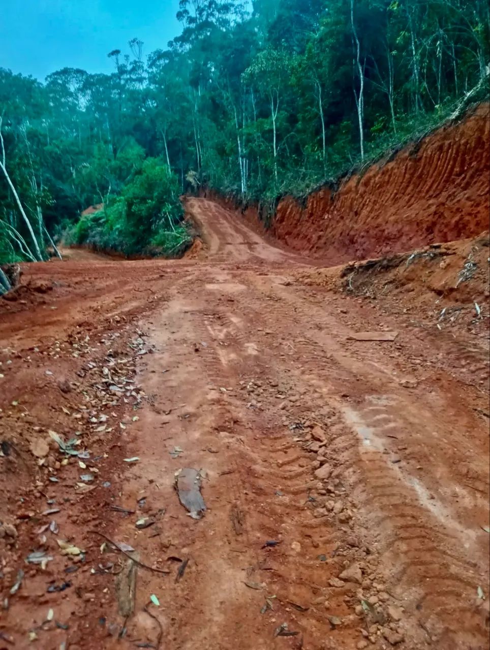 Chácaras de 10.000 m2 (OPORTUNIDADE)!! - Foto 5