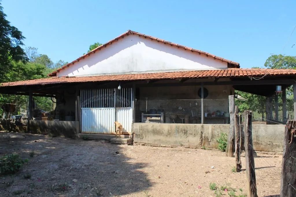 Vendo Fazenda de 26 Alqueires 02 Rios terra de Cultural, Mimoso Goiás. - Foto 4
