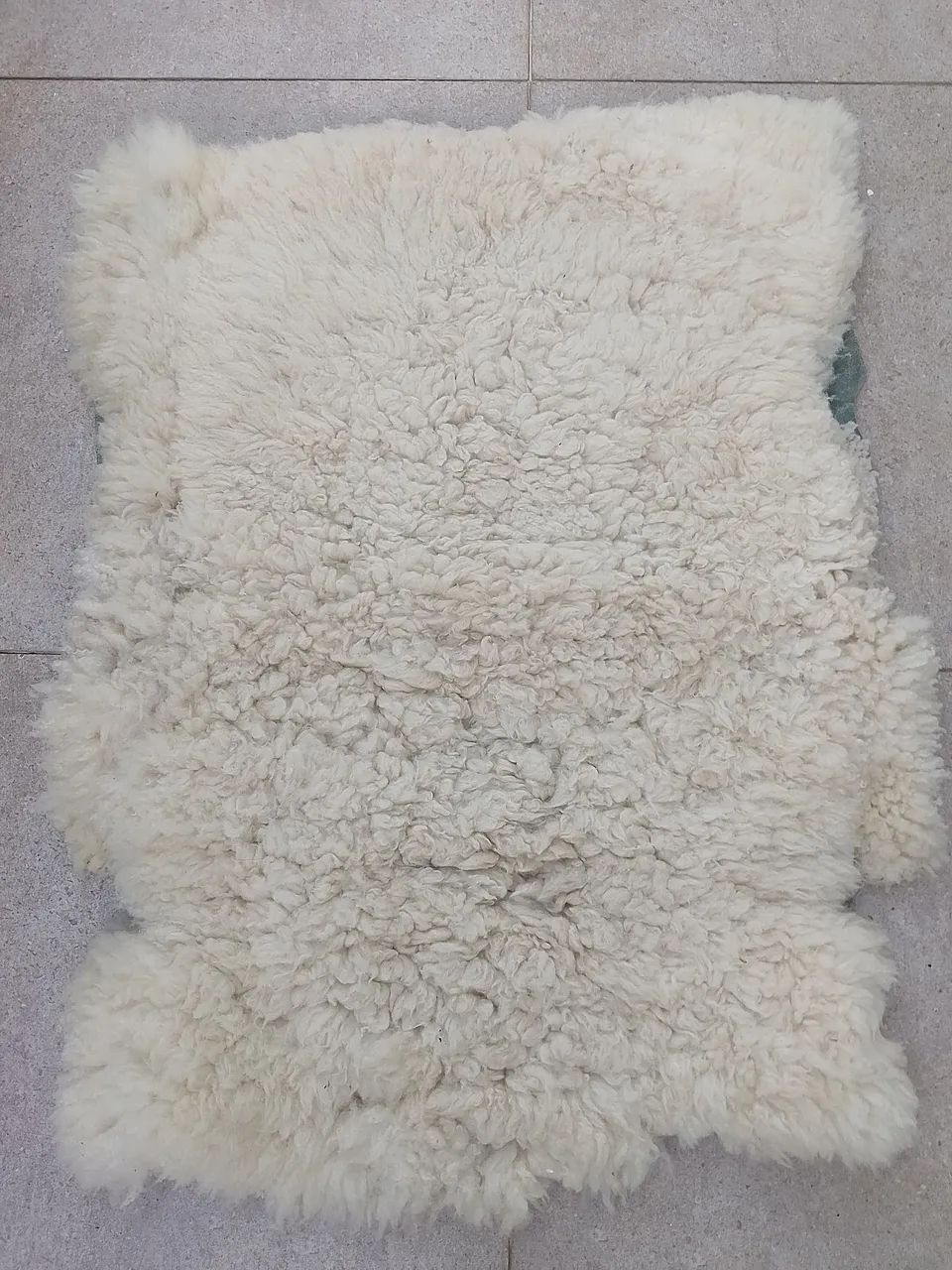 Encilha( cela freio de ouro ) de cavalo  - Foto 6