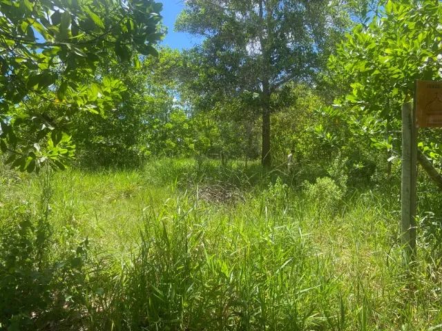 Foto - Porto Seguro - 