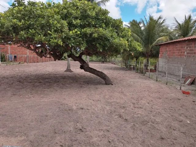Vendo Terreno em Paracuru  - CE  - Foto 2