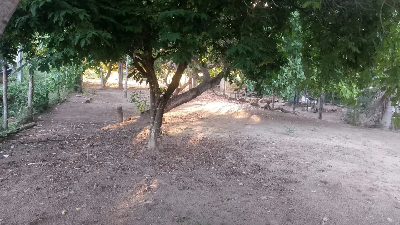TERRENO A VENDA SOLEDADE - Foto 4