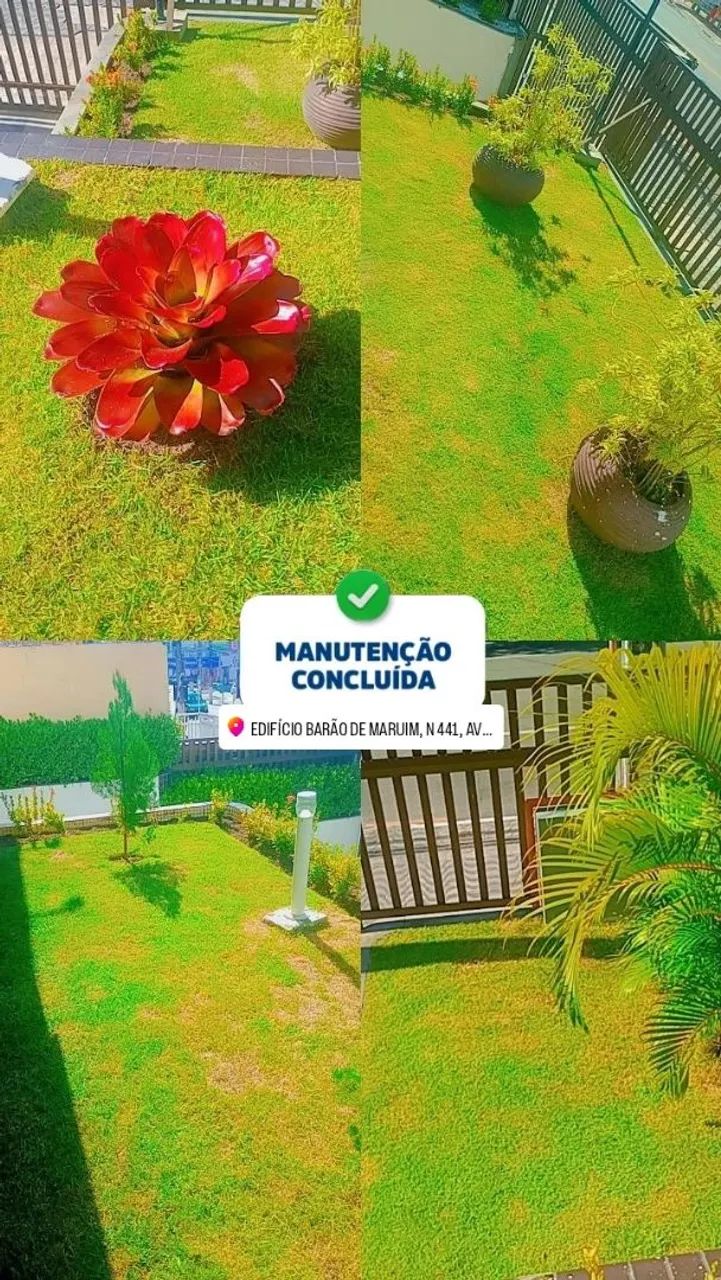 JARDINEIRO  - Foto 5