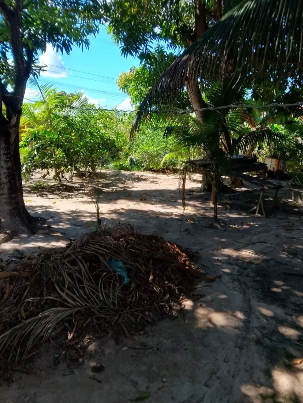 CASA COM QUINTAL AMPLO - 830m² EM BOM JESUS DO TOCANTINS (PA) - Foto 4