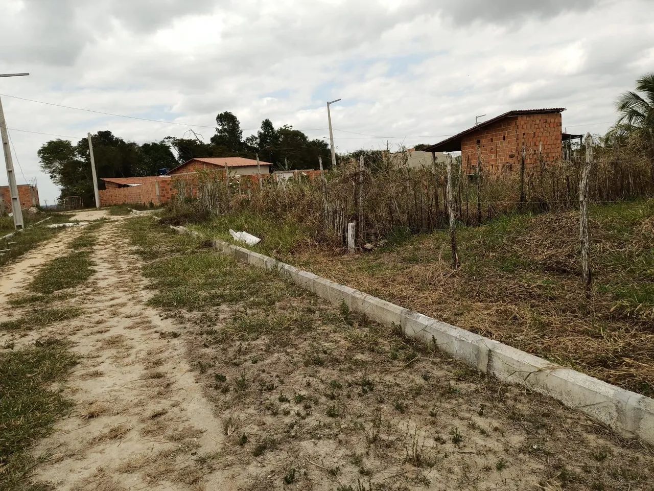 Oportunidade! Lotes de 10x30 no Povoado Tombo - Salgado/SE (Vendo Juntos ou Separados) - Foto 2