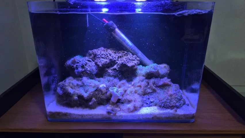 Aquario Marinho Nano Reef Completo Vidro Curvo Ocean Tech - Foto 2
