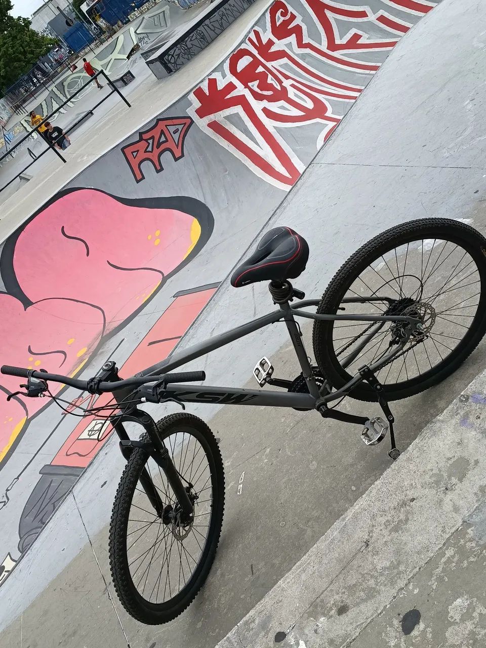 Bicicleta aro 29