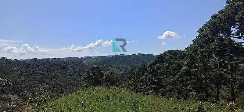 SÍTIO FORMADO PRÓXIMO AO PARQUE DA SERRA DO MAR EM CUNHA-SP