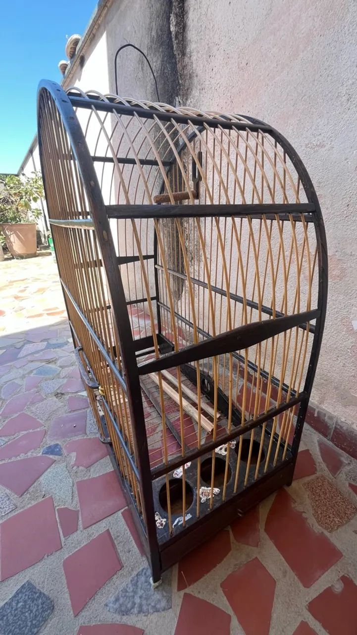 Gaiola - Foto 4