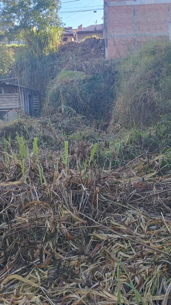 Terreno panorama tropical  - Foto 2