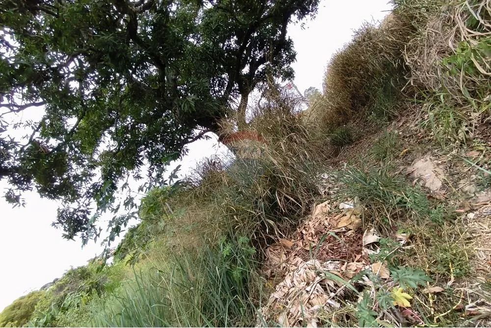 Terreno no Centro de Ribeirão Vermelho - Foto 3