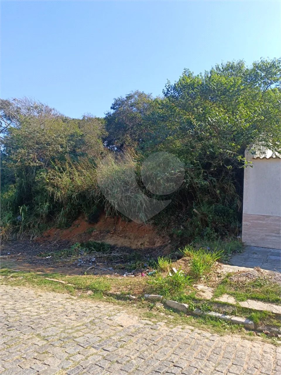 Terreno à venda em Brava - RJ - Foto 4