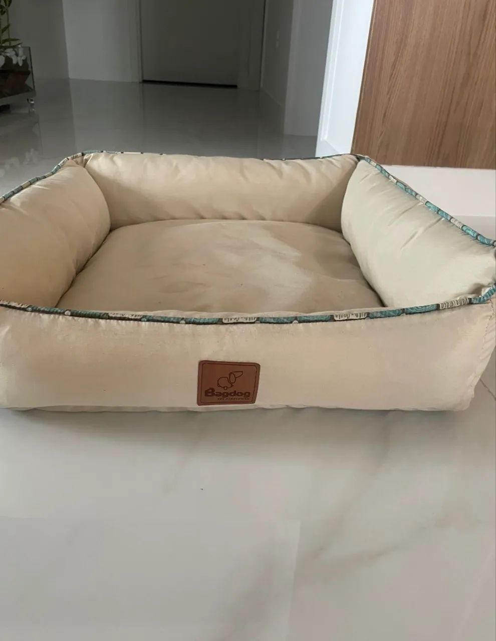 Caminha para Pet 