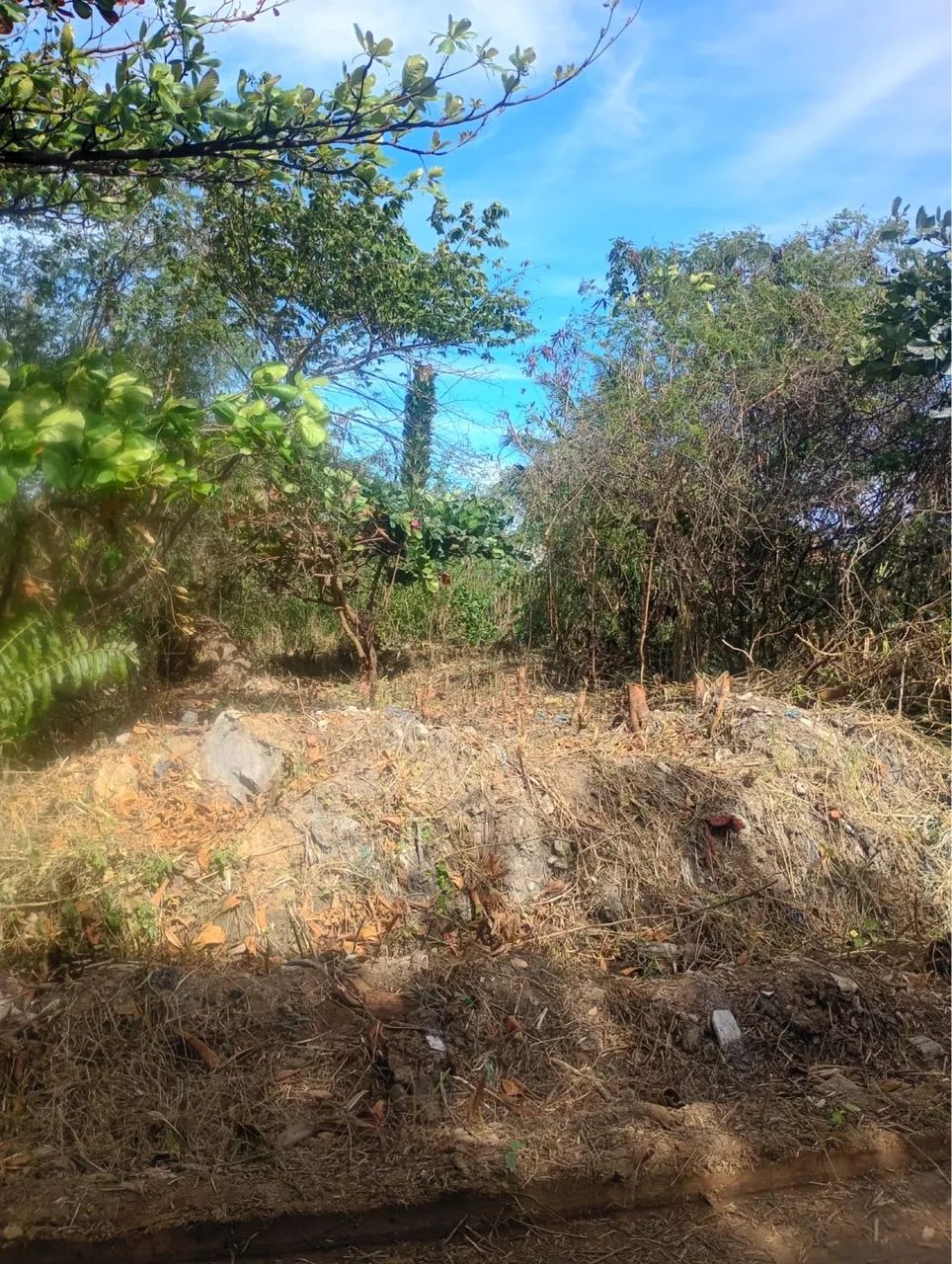 Vendo Terreno - Foto 2