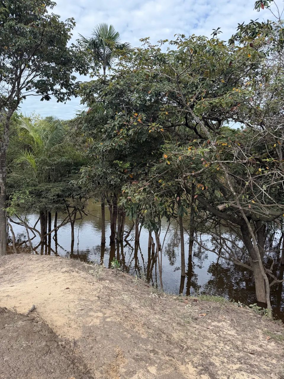 sitio com Rio Caumé nos fundos - Foto 4